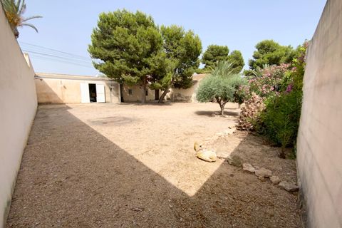 Finca i Torre Pacheco, Murcia, Torre Pacheco - € 298.000 | Ref: V498TM - foto 4